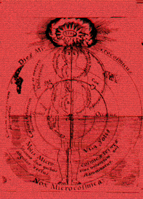 Red background with black illustration of the human anatomy