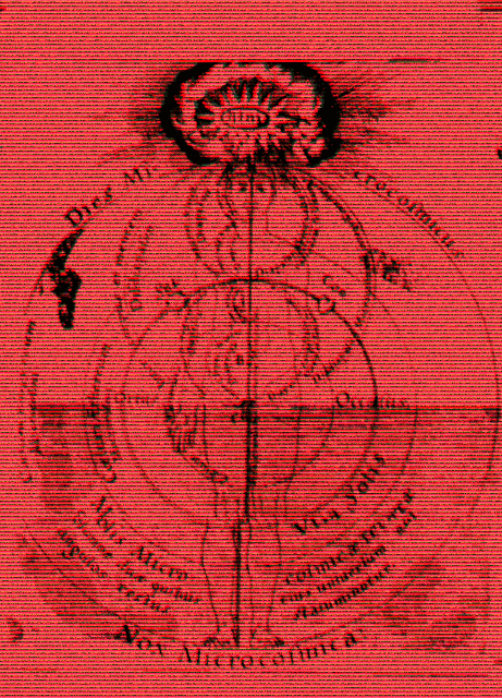 Red background with black illustration of the human anatomy